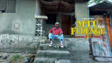 Barnaba & D voice – Mtu Fudenge (Visualizer)